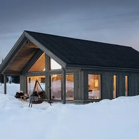 Luxury Mountain Modern And Stylish Opheim